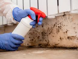 Trusted Sheffield, IA Mold Inspection Experts